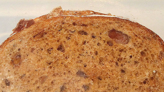 Un Sandwich en órbita: la historia del único alimento que viajó al espacio de contrabando